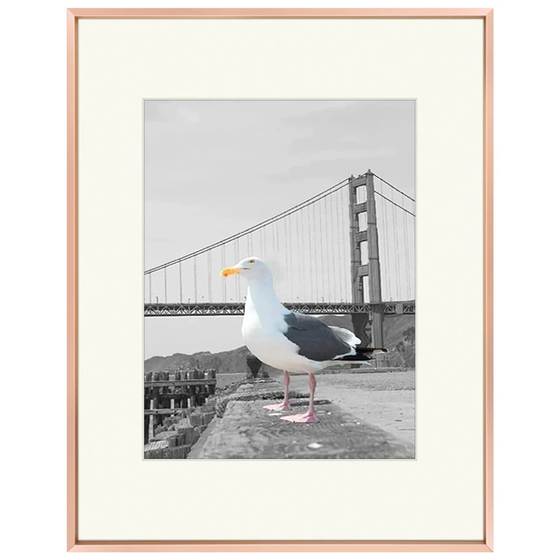 Frametory, 16x20 Metal Picture Frame Collection, Aluminum Photo Frame with Ivory Color Mat for 11x14 Picture & Real Glass (Rose Gold)