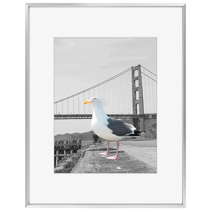 Frametory, 16x20 Aluminum Photo Frame with Ivory Color Mat for 11x14 Picture & Real Glass, Metal Picture Frame Collection (Silver, 1-Pack)