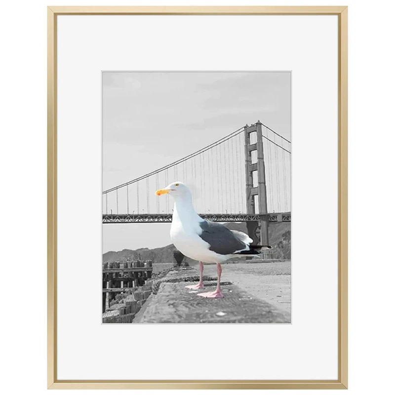 Frametory, 16x20 Picture Frame Matted to 11x14 Aluminum Metal Photo Frames Real Glass Vertical or Horizontal Wall Mounting (Gold, 1-Pack)