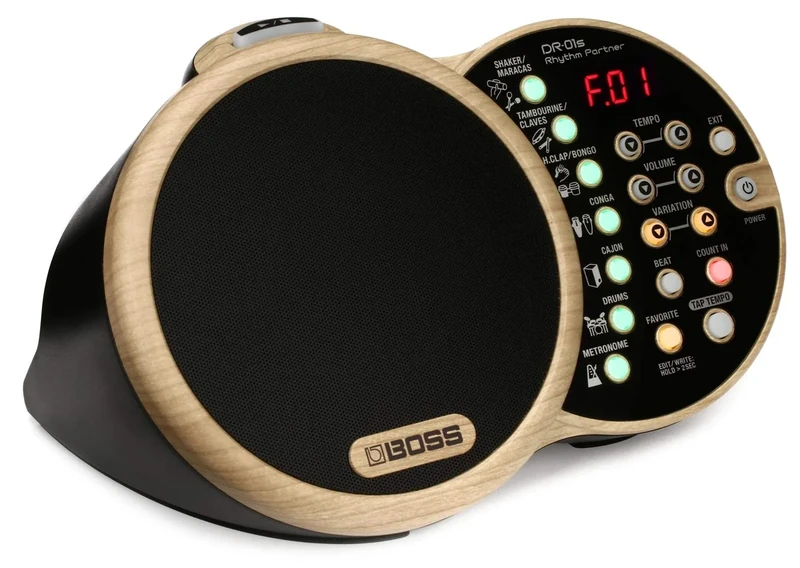 BOSS Dr-01S Rhythm Partner for Acoustic Musicians