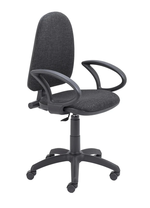 Office Hippo High Back Desk Chair, Ergonomic Office Chair For Home & Office With Height Adjustable Seat & Fixed Arms For Extra Comfort, Computer Chair For Daily Use - Charcoal