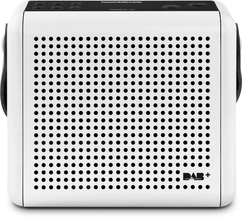 Nordmende Transita 110 - Portable DAB+ & FM Digital Radio - Portable Music Box with OLED Display - Outdoor Radio with Carry Handle & Clock