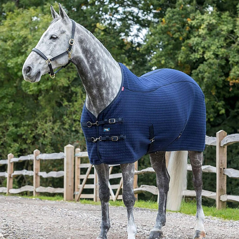 LeMieux Thermo Cool Rug Horse Rug - Benetton Blue, 5'3