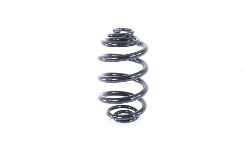 MONROE Suspension Spring | SN3619 | Rear | for BMW X3 2003-2011 | OE-Matching Quality | Ride Comfort & Stability