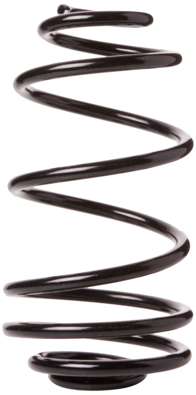 MONROE Suspension Spring | SN4025 | OE-Matching Quality | Ride Comfort & Stability | Pack of 1