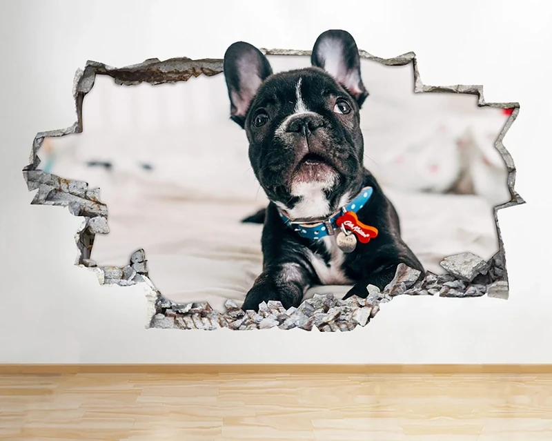 G209 French Bull Dog Animal Pet Smashed Wall Decal 3D Art Stickers Vinyl RoomKids Bedroom Baby Nursery Cool Livingroom Hall Boys Girls
