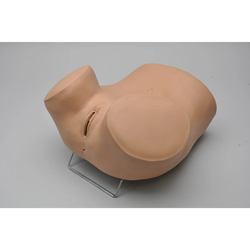 GSfHC W45043 Zoe Gynaecology Simulator with Laparoscopy - Image 1