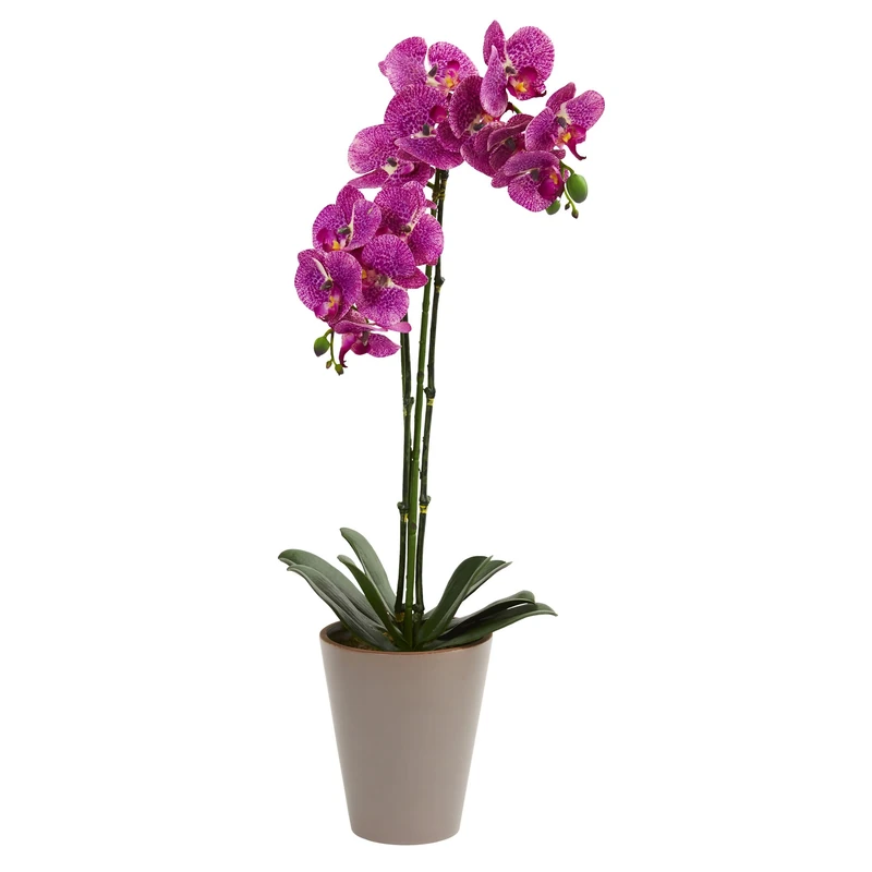 Nearly Natural Orchid Artificial 24” Speckled Phalaenopsis Arrangement