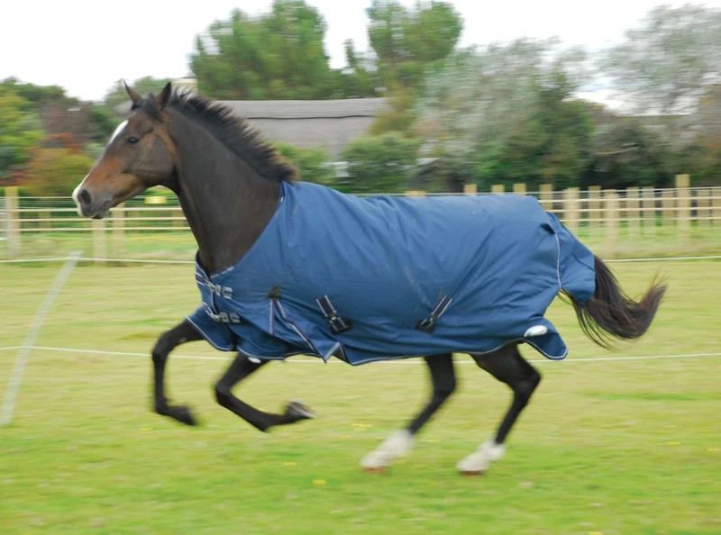 Rhinegold Arizona 100g Horse Turnout Rug 600d Standard Neck 5.9, Navy
