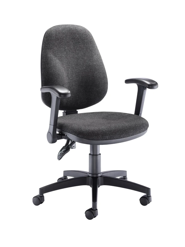 Office Hippo Mid Back Desk Chair, Ergonomic Home & Office Chair With Height Adjustable Seat & Flip Up Arms, Lumbar Support For Comfort, Computer Chair For Daily Use - Charcoal Grey