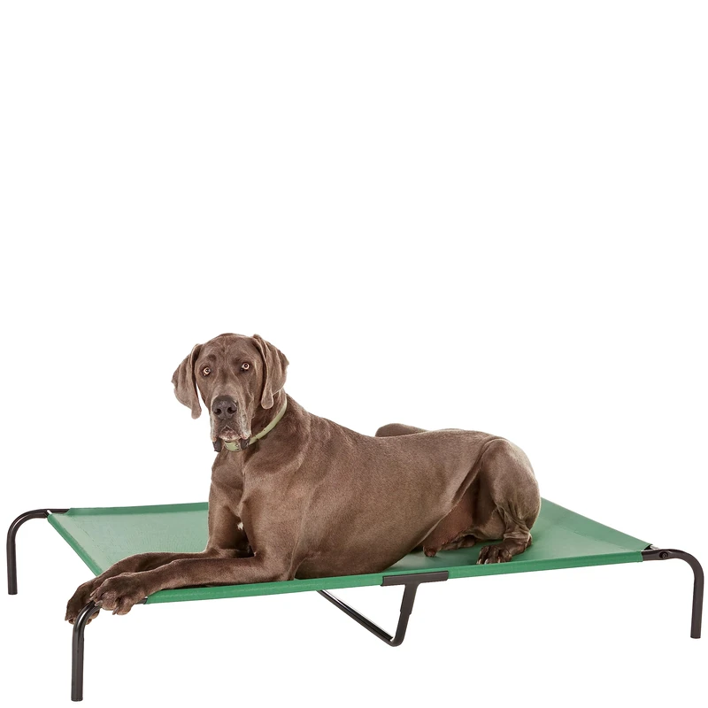 Amazon Basics Raised Dog Bed, Cooling Breathable Elevated Pet Bed, XL, Green, 153 x 94 x 23 cm (L x W x H)