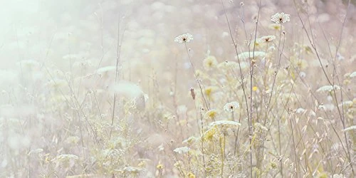 The Art Group "Ian Winstanley Summer Meadow Canvas Print, Multi-Colour, 50 x 100 x 1.3 cm