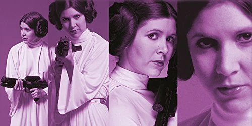 Pyramid International "Star Wars Princess Leia Pose Canvas Print, Multi-Colour, 50 x 100 x 1.3 cm