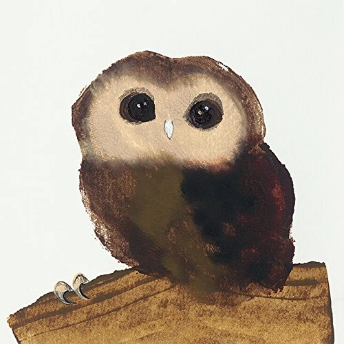 The Art Group "Julia Burns Little Owl Canvas Print, Cotton, Multi-Colour, 1.80 x 30.00 x 30.00 cm