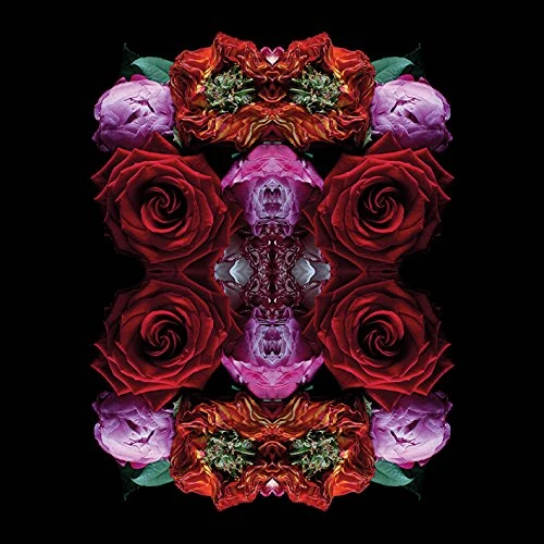 The Art Group Alyson Fennell Canvas Print, Multi-Colour, 85 x 85 x 1.3 cm