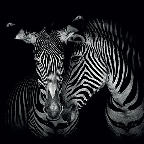 The Art Group Marina Cano (Secrets) -Canvas Print 85 x 85cm, Wood, Multicolour, 85 x 85 x 1.3 cm