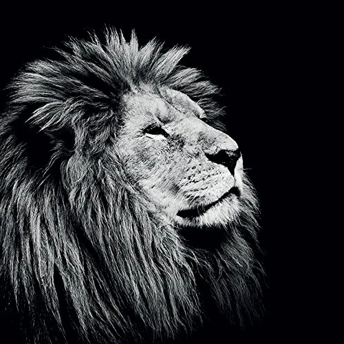 The Art Group "Nicolas Evariste Majesty Canvas Print, Multi-Colour, 1.80 x 85.00 x 85.00 cm