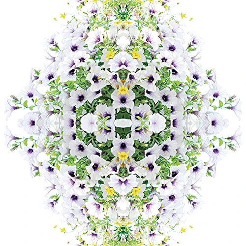 The Art Group Alyson Fennell Canvas Print, Multi-Colour, 85 x 85 x 1.3 cm