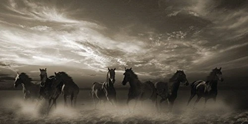 The Art Group Malcolm Sanders Canvas Print, Multi-Colour, 50 x 100 x 1.3 cm