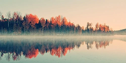 The Art Group "Andreas Stridsberg Forest Reflections Canvas Print, Multi-Colour, 50 x 100 x 1.3 cm