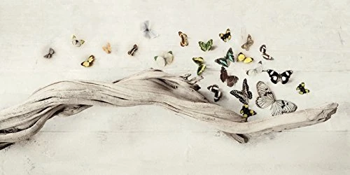 The Art Group "Ian Winstanley Drift Of Butterflies Digital Canvas Print, Multi-Colour, 1.80 x 50.00 x 100.00 cm