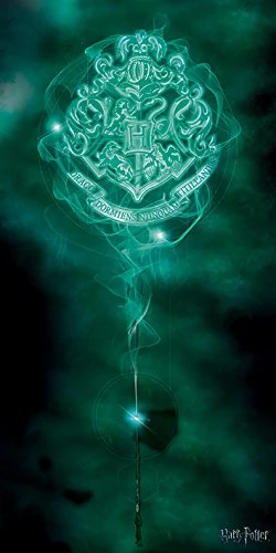 Pyramid International HARRY POTTER Canvas Print Hogwarts Crest Patronus 50cm x 100cm - Official Merchandise