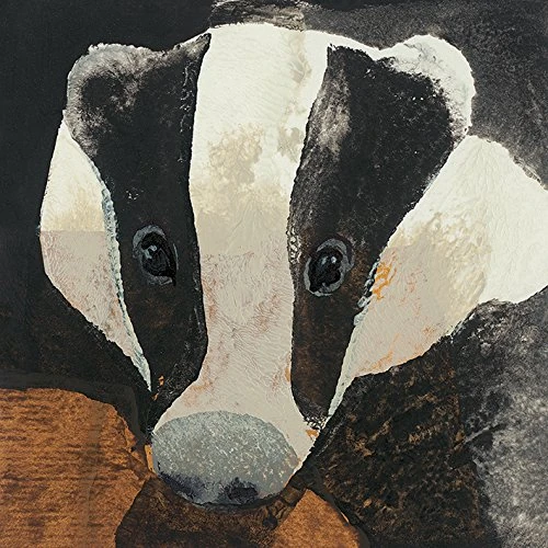 The Art Group "Julia Burns Badger Canvas Print, Cotton, Multi-Colour, 1.80 x 30.00 x 30.00 cm