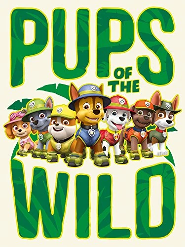 Pyramid International Paw Patrol Canvas Print, Multi-Colour, 60 x 80 x 1.3 cm
