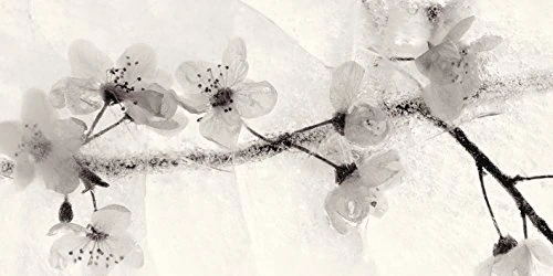 The Art Group Ryuijie Douglas Canvas Print, Multi-Colour, 50 x 100 x 1.3 cm