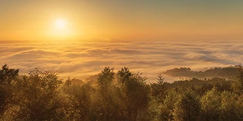 The Art Group "David Clapp Mist Over The River Exe Devon England Canvas Print, Multi-Colour, 50 x 100 x 1.3 cm