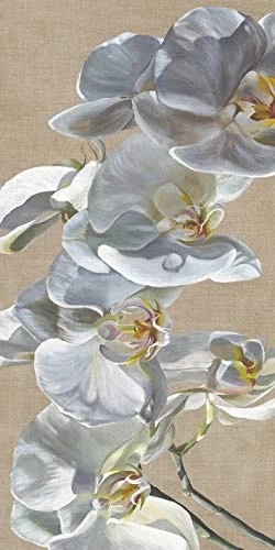 The Art Group Sarah Caswell Canvas Print, Multi-Colour, 50 x 100 x 1.3 cm