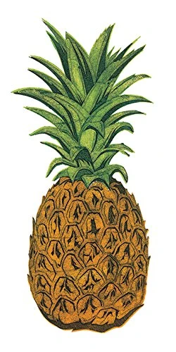 Pyramid International Barry Goodman Pineapple Canvas Print