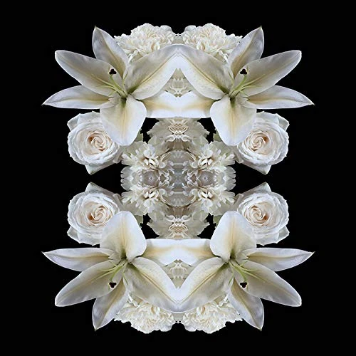 The Art Group Alyson Fennell Canvas Print, Multi-Colour, 85 x 85 x 1.3 cm