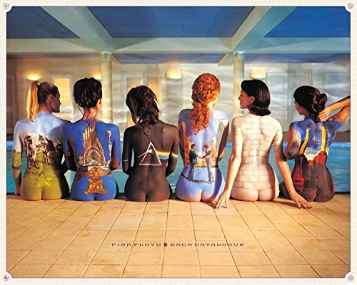 Pyramid International "Pink Floyd Back Catalogue Canvas Print, Cotton, Multi-Colour, 1.80 x 85.00 x 120.00 cm