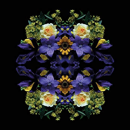 The Art Group Alyson Fennell Canvas Print, Multi-Colour, 85 x 85 x 1.3 cm