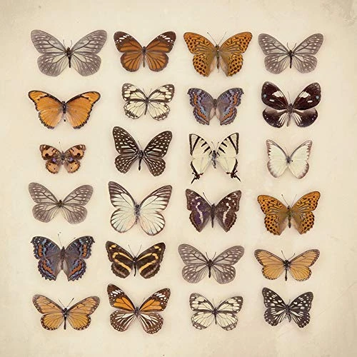 The Art Group Ian Winstanley Canvas Print, Multi-Colour, 85 x 85 x 1.3 cm