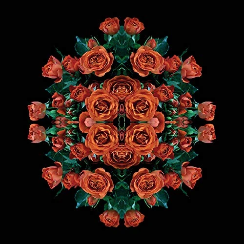 The Art Group Alyson Fennell Canvas Print, Multi-Colour, 85 x 85 x 1.3 cm