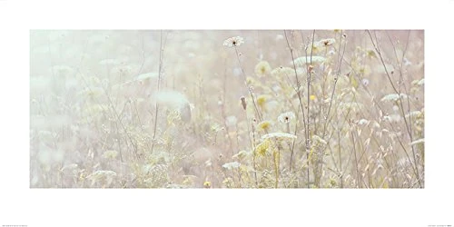 The Art Group "Ian Winstanley Summer Meadow Paper Art Print, Multi-Colour, 50 x 100 x 1.3 cm