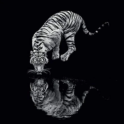 The Art Group Marina Cano (into the Dark I) -Canvas Print 85 x 85cm, Wood, Multicolour, 85 x 85 x 1.3 cm