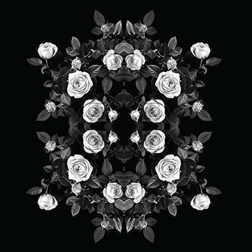 The Art Group Alyson Fennell Canvas Print, Multi-Colour, 85 x 85 x 1.3 cm