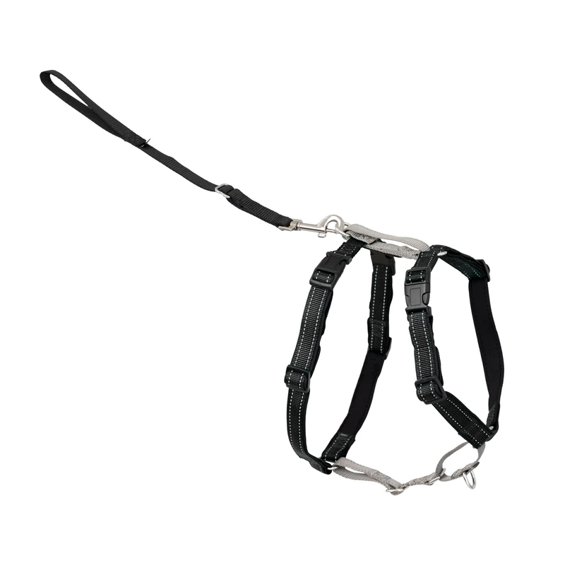 PetSafe 3 in 1 No-Pull Dog Harness For Small Dogs- Walk, Train or Travel - Helps Pets from Pulling on Walks - Seatbelt Loop Doubles as Quick Access Handle - Reflective - Small, Black