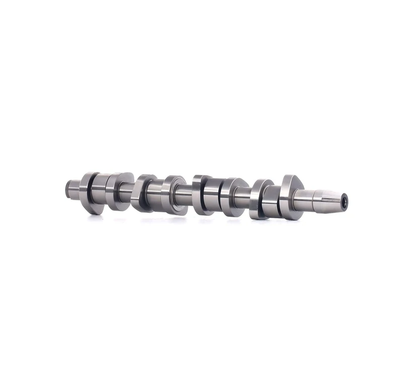 INA 428 0110 10 Camshaft