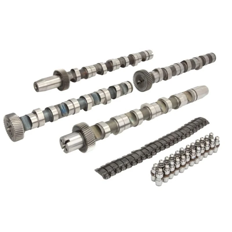 INA 428 0038 30 Camshaft Kit