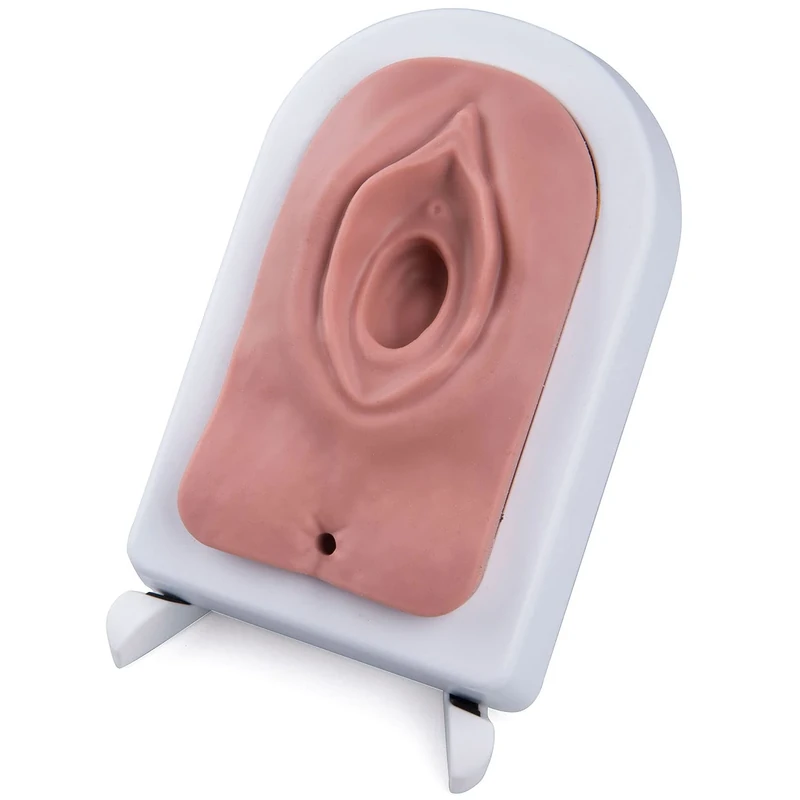 3B Scientific P95 perineal incision and suture simulator