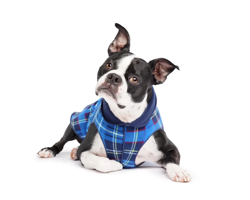 Gold Paw Duluth Double Fleece Dog Coat Pullover – Soft, Warm Dog Clothes, 4-Way Stretch Pet Sweater – Machine Washable, All-Season, Blue Plaid/Navy, Size 8