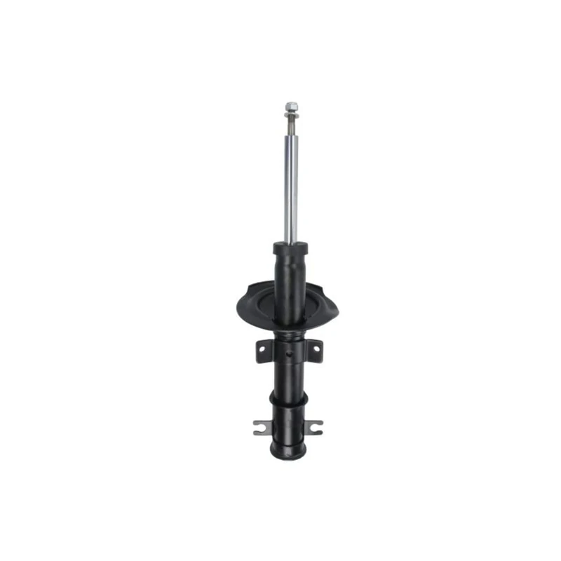 Monroe 401030RM Automobile Shock Absorbers