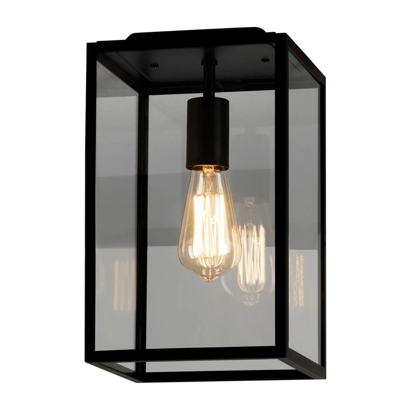 Astro Exterior Ceiling Light, Stainless Steel, 60 W, Textured Black