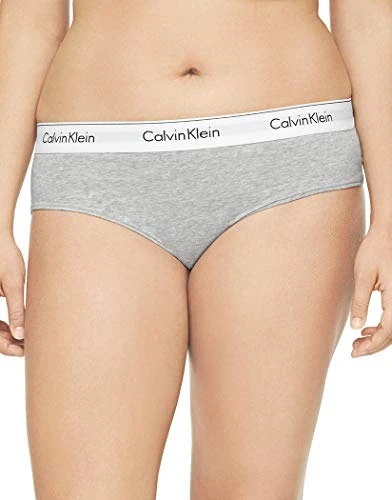 Calvin Klein Women's Modern Cotton Stretch Bikini Panty Hipster, Grey Heather, 1X