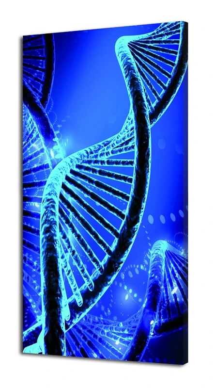 Pintdecor DNA Light Panel, Fir Wood, blue, 80 x 40 x 4.5 cm - Image 1