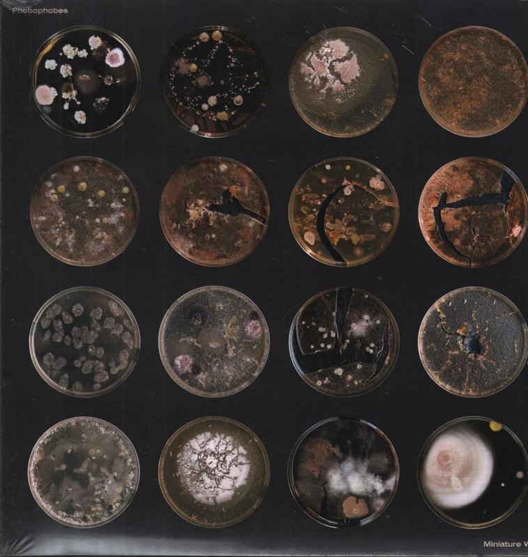 Miniature World [VINYL] - Image 1